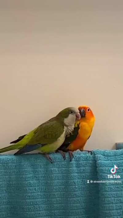 Trying to get him to sing in the bathroom, instead got this PDA