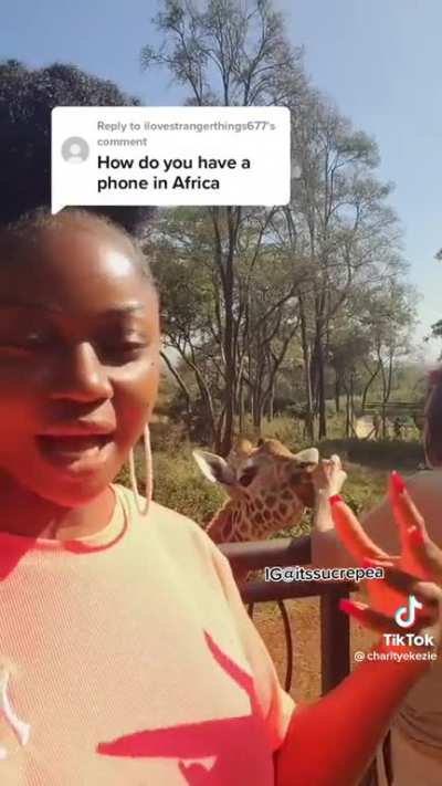 The true purpose of &ldquo;giraffes&rdquo;