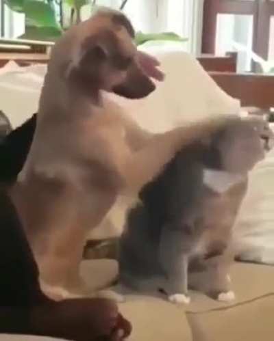 hes trying his best!