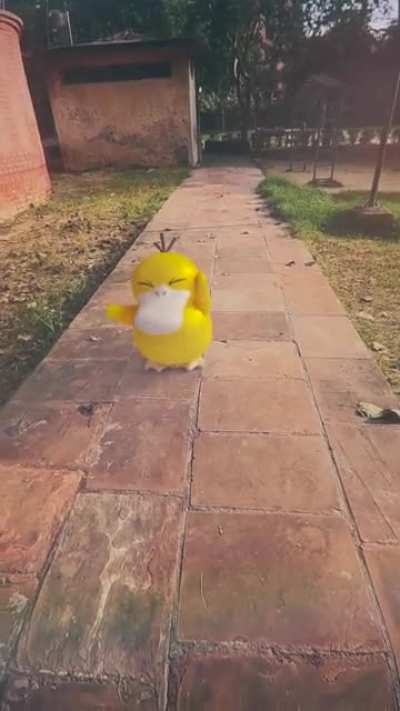 A Wild Psyduck appears...oh wait...