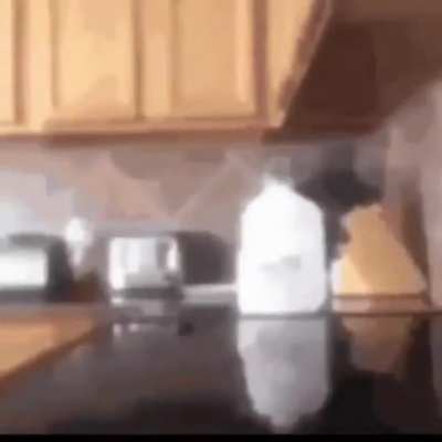 Milk