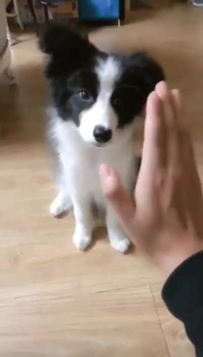 &ldquo;I&rsquo;m not sure what you want, but i love you!&rdquo;
