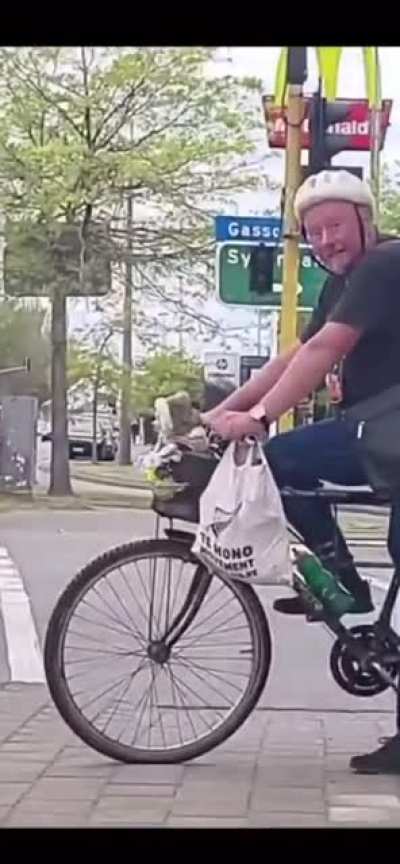 This doggo and the shoulder tap