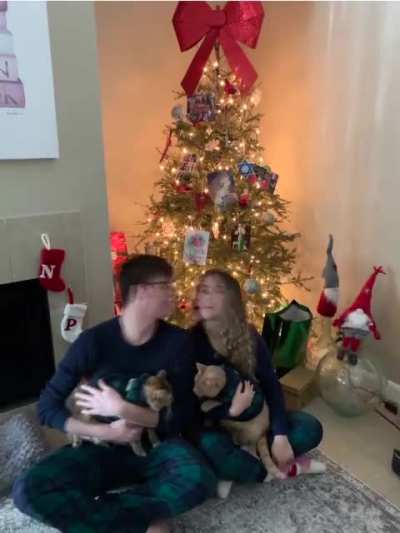 Kitty wasn't feeling the Christmas spirit