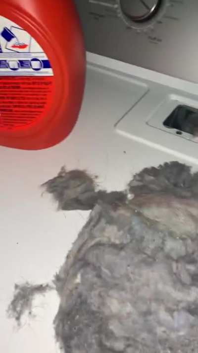 My friend asked me to switch her laundry over. I found out they didn&rsquo;t know you were supposed to clean your lint trap.