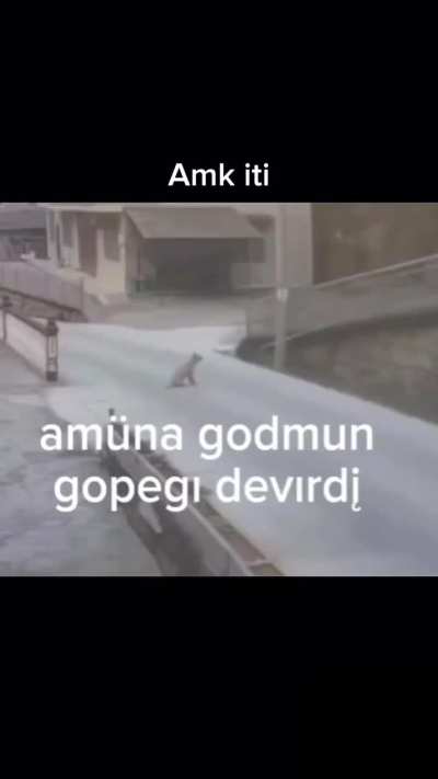 Mk iti