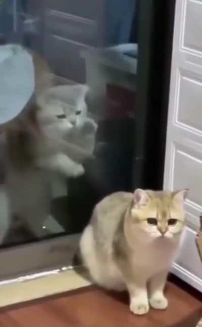 Когда не ночевал дома