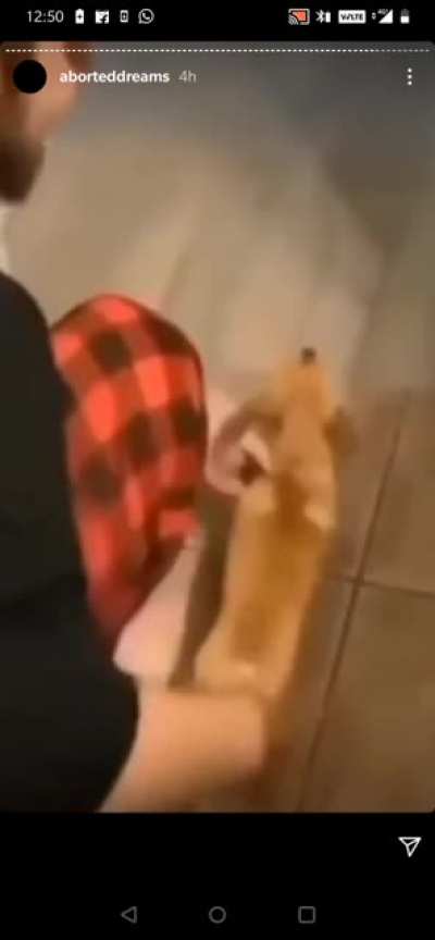 ༼;&acute;༎ຶ ۝ ༎ຶ༽