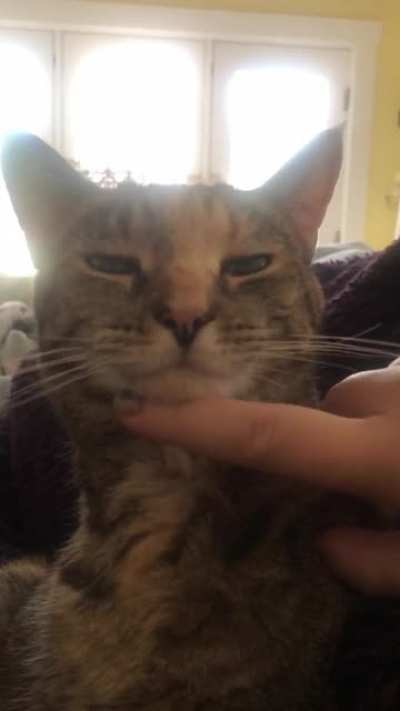 You can boop it, she doesn&rsquo;t mind!