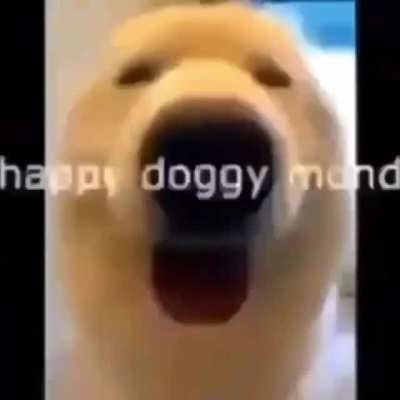 happy doggy