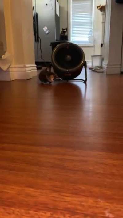 I can&rsquo;t not smile at the part where she starts &ldquo;running&rdquo;.