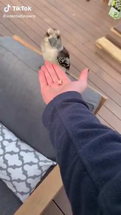Ahh