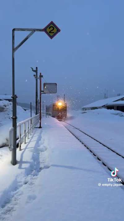 First Nagano Snow