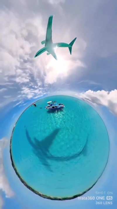 Ever tossed your camera for the ideal shot?