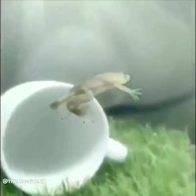 HOW IS HE DOING THAT