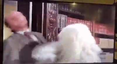 The dog....