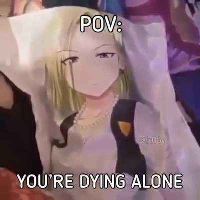 POV: Anime pillow