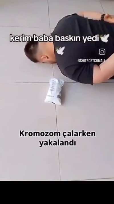 Galerimden bir video 3
