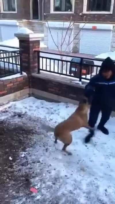Teasing the dog