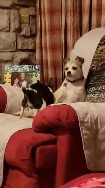 ..