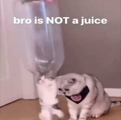 He will be slurped