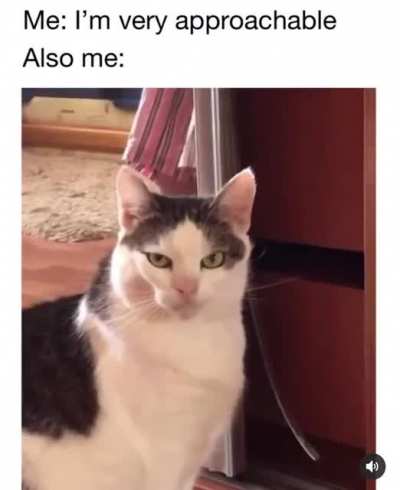 2meirl4meirl