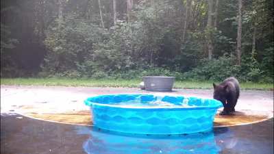 Enjoying the pool until mom says it&rsquo;s time to go