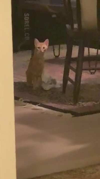 Realizing I&rsquo;m spying on her