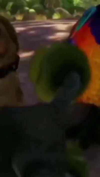 Blursed Up