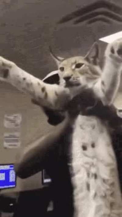 hmmm