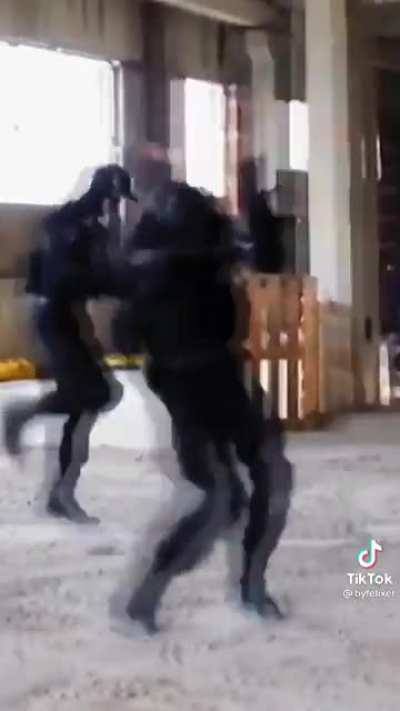 the loli dance