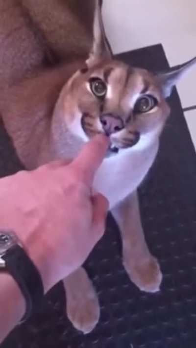 &zwj;