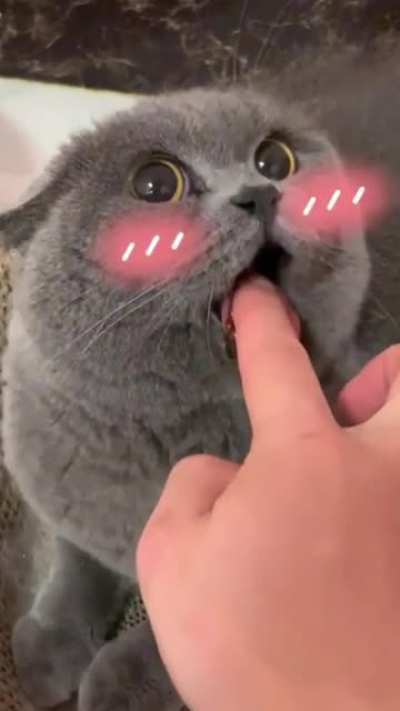 uWu