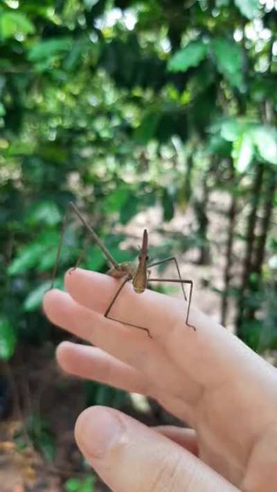 I made a friend but they go &amp;gt;:( all the time.