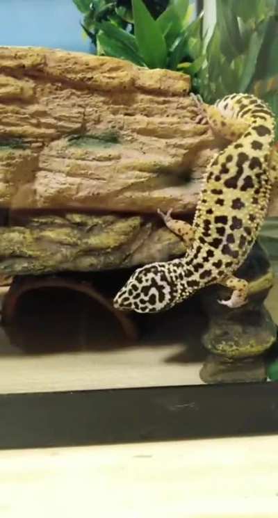 "HUP I'll just move this over!"