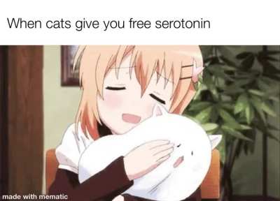 ~( ^.&bull; w &bull;.^)