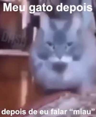 Miau
