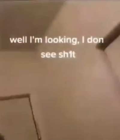 Cat trying to warn his owner that there is something in the corner. What does it say?
