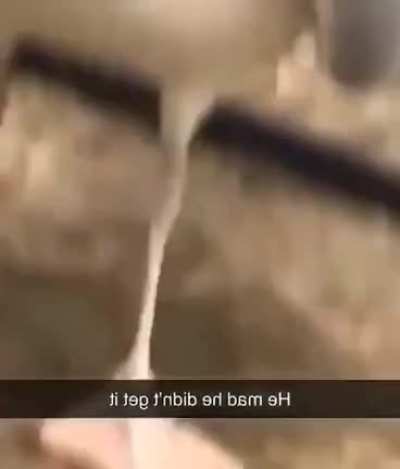 AAAAAAAAAHHHNGERY