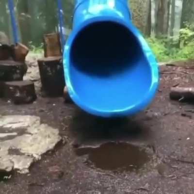 Spin ball
