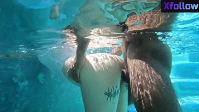 BBC Pool Swimming Pool Hardcore Underwear Doggystyle Standing Doggy doggy style Pornstar Back Arched Porn GIF by xfollow