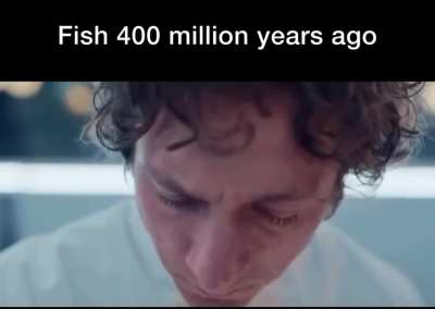 Evolution be like: