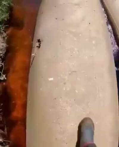 Nature is beautiful
