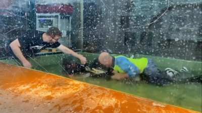 Alligator attacks keeper, bystanders jump in to help