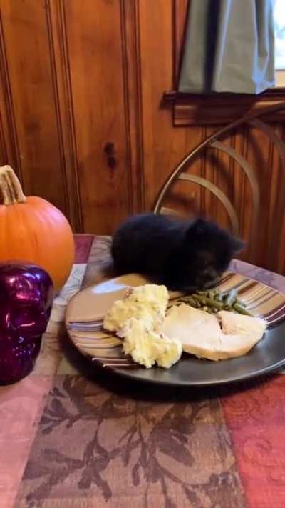 He made you Thanksgiving dinner, but you never showed up :(