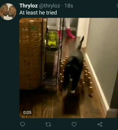 At least he tried