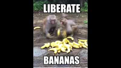 Banana wisdom