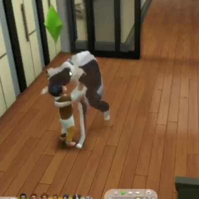 hug your dog
