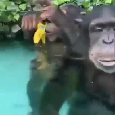Monke