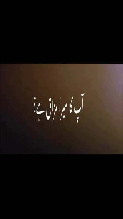 Bolo Pencil